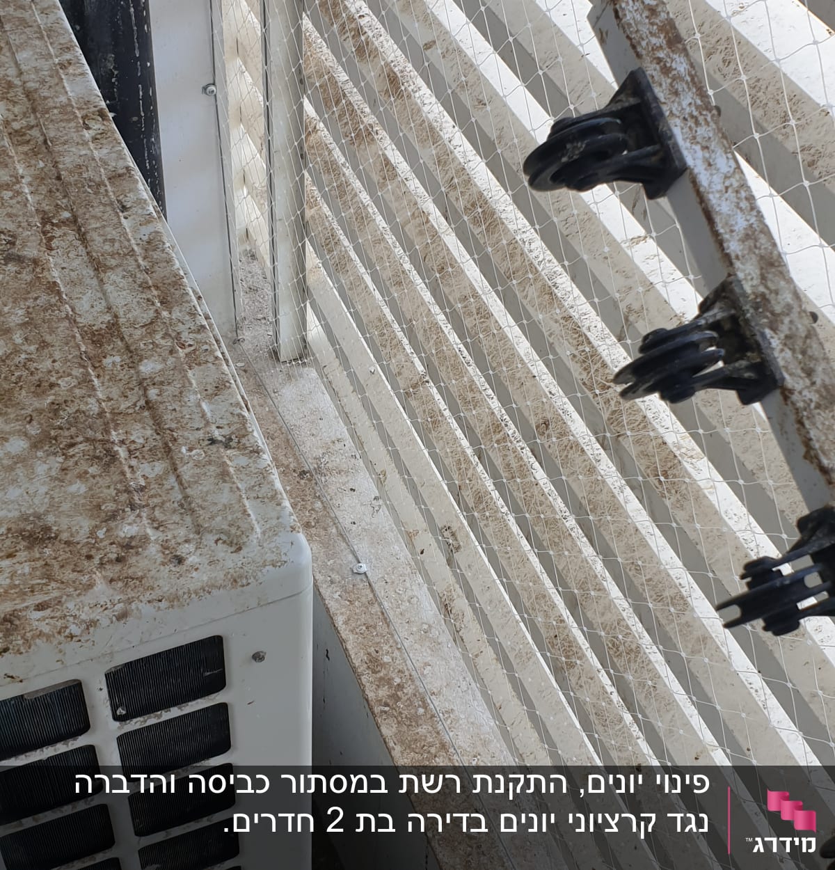 רשת למניעת כניסת יונים על חלון